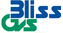 Bliss Gvs Pharma Ltd.