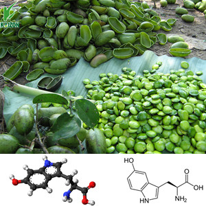Griffonia Seed Extract 5-HTP 50% 90% 95% 99% HPLC