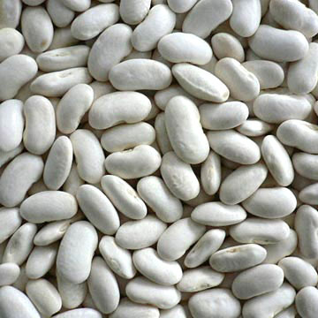White Kidney Bean Extract Phaseolin 1%